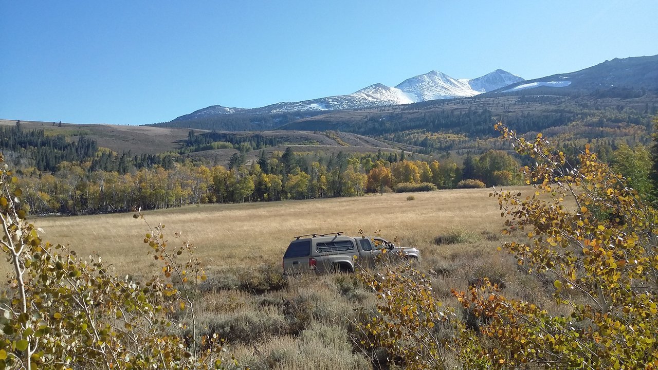20171005_155044.jpg