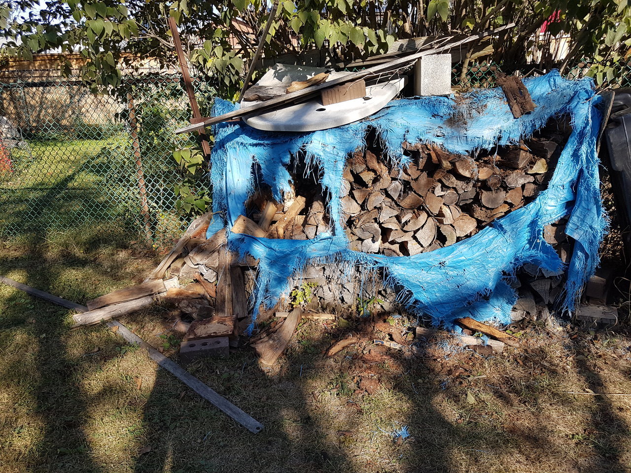 20171005_160235.jpg