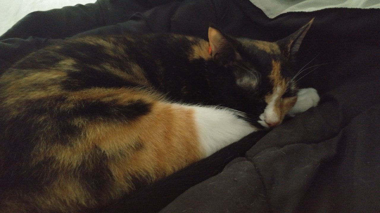 20171006_165440.jpg