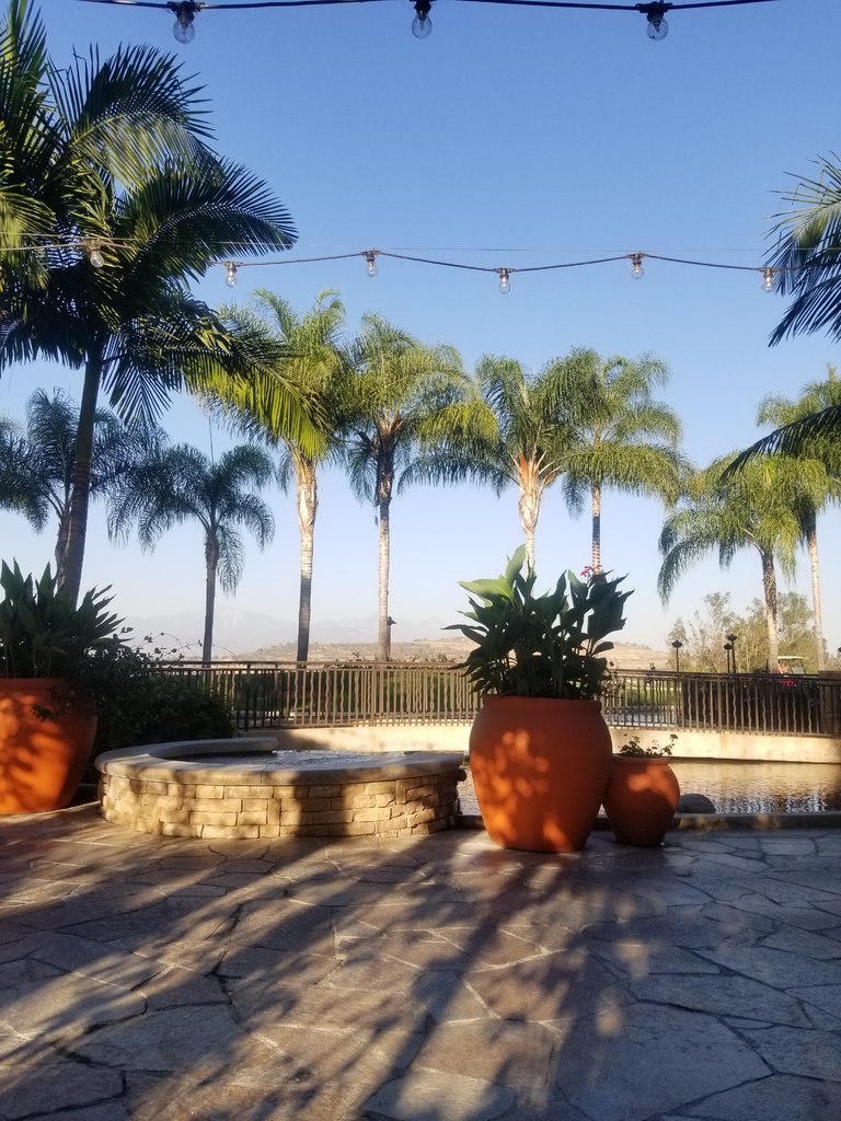 20171006_165938.jpg