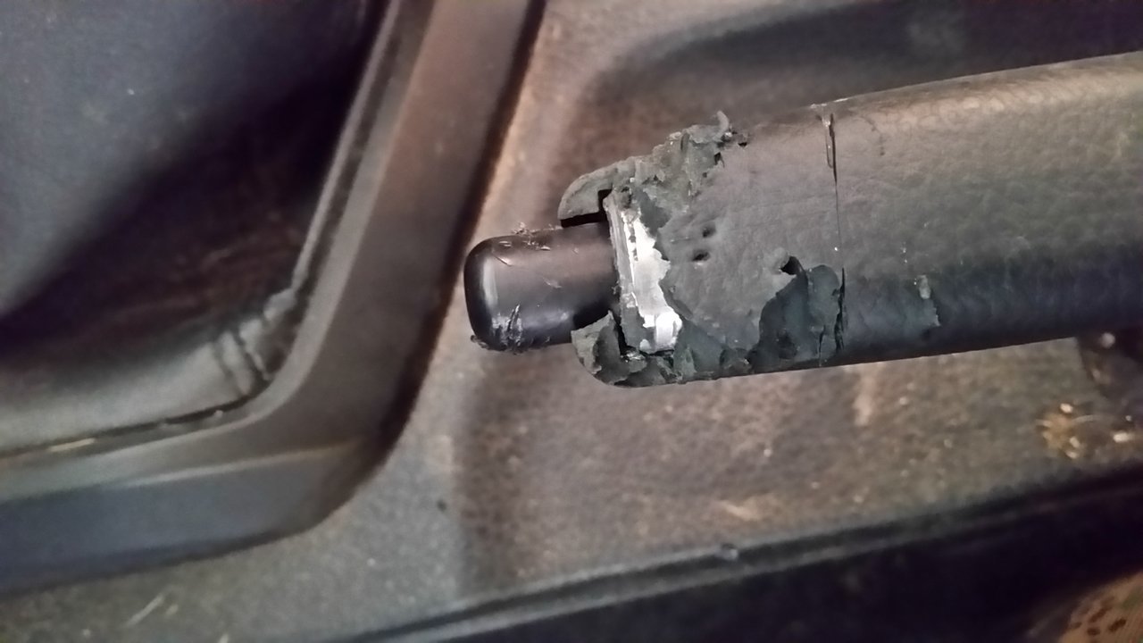 20171007_104820.jpg