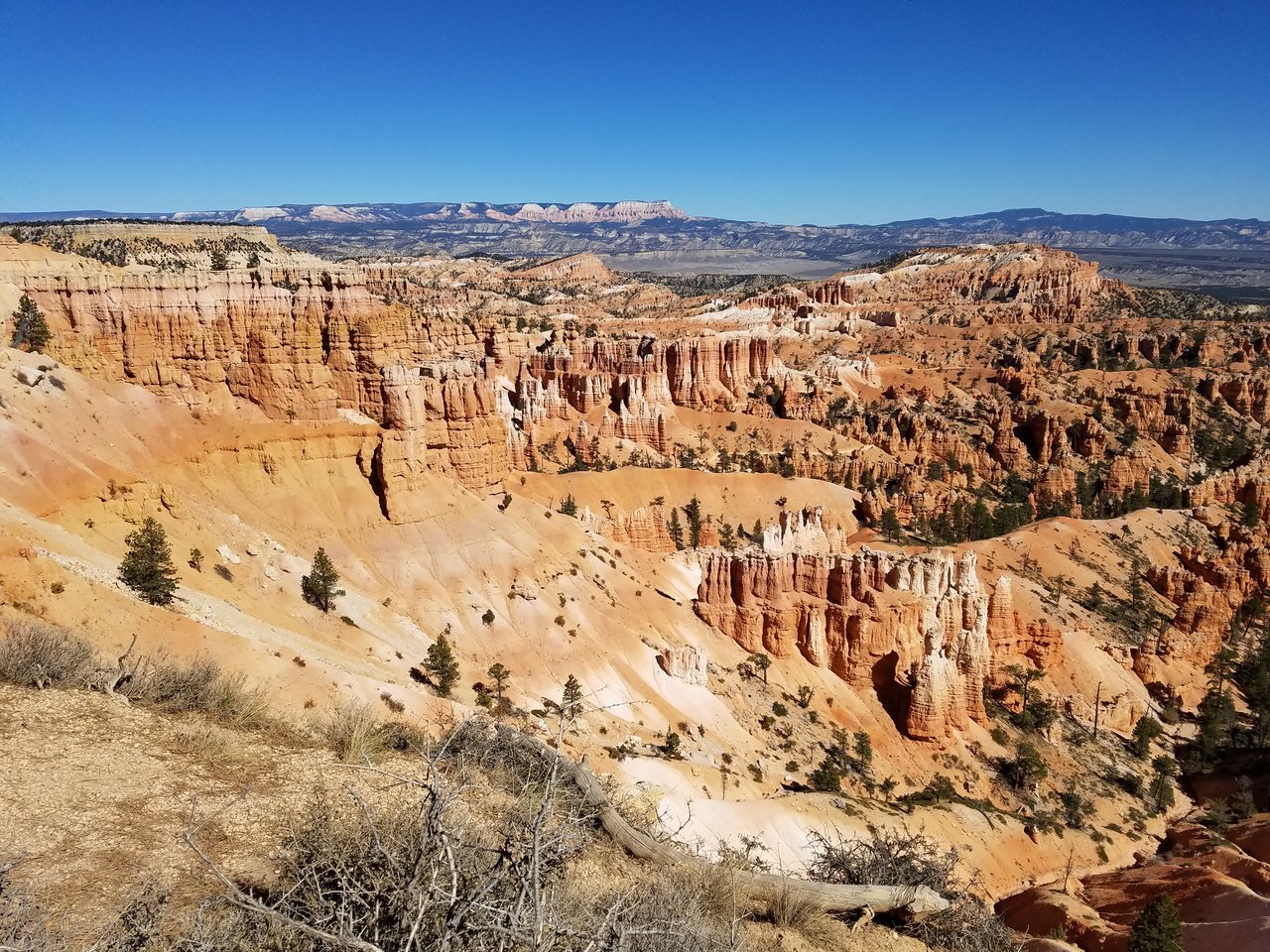 20171007_144032.jpg