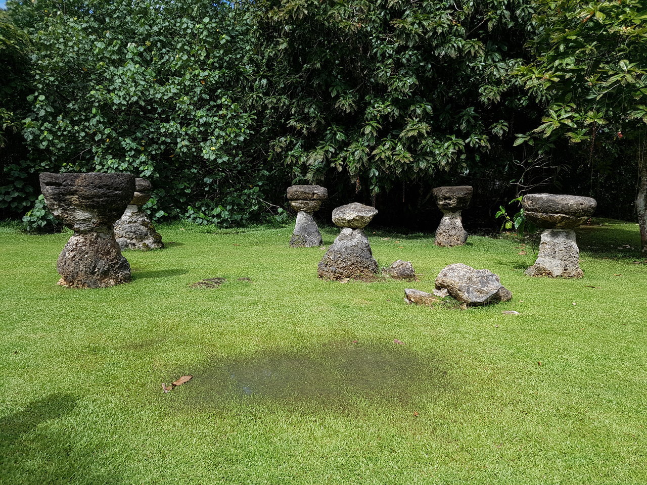 20171008_100736.jpg