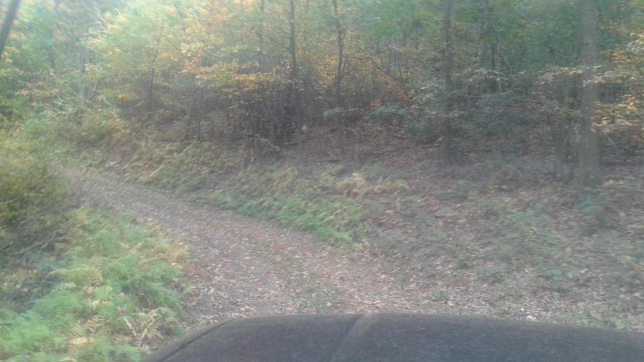 20171008_150051.jpg