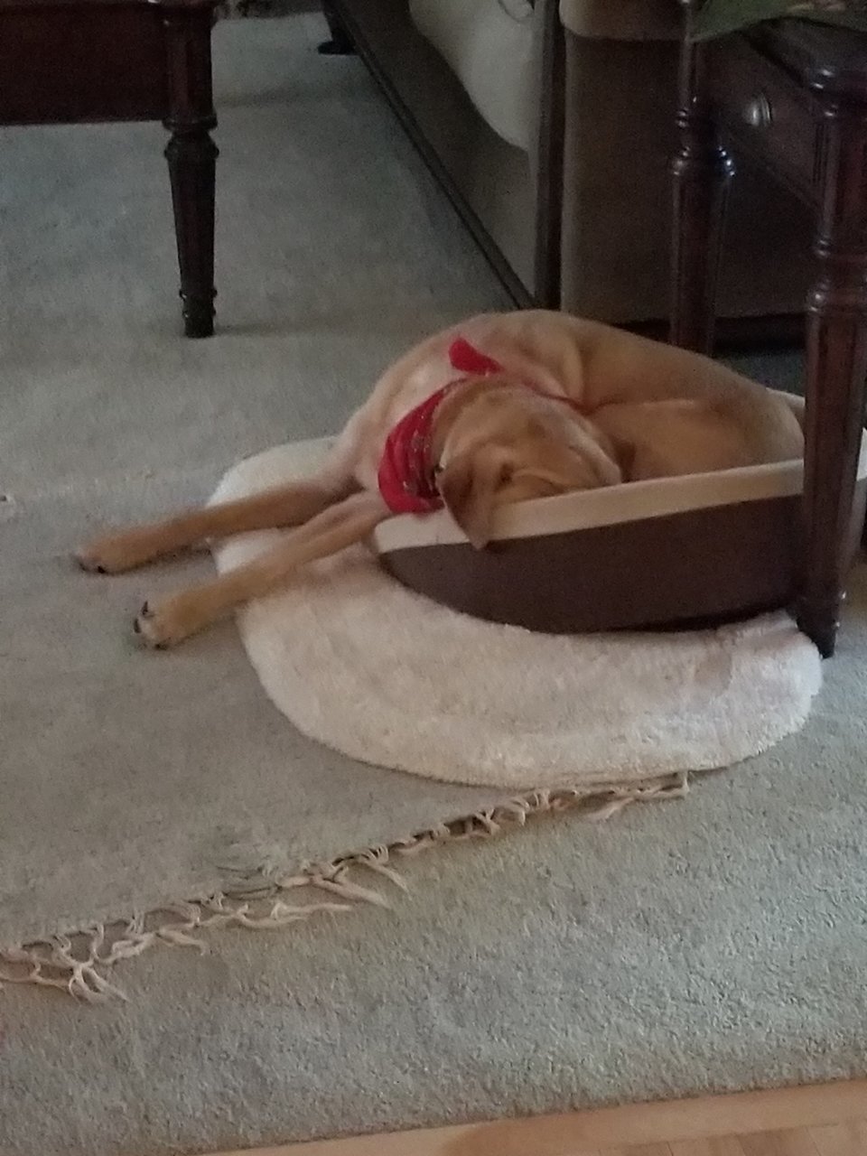 20171009_084813.jpg