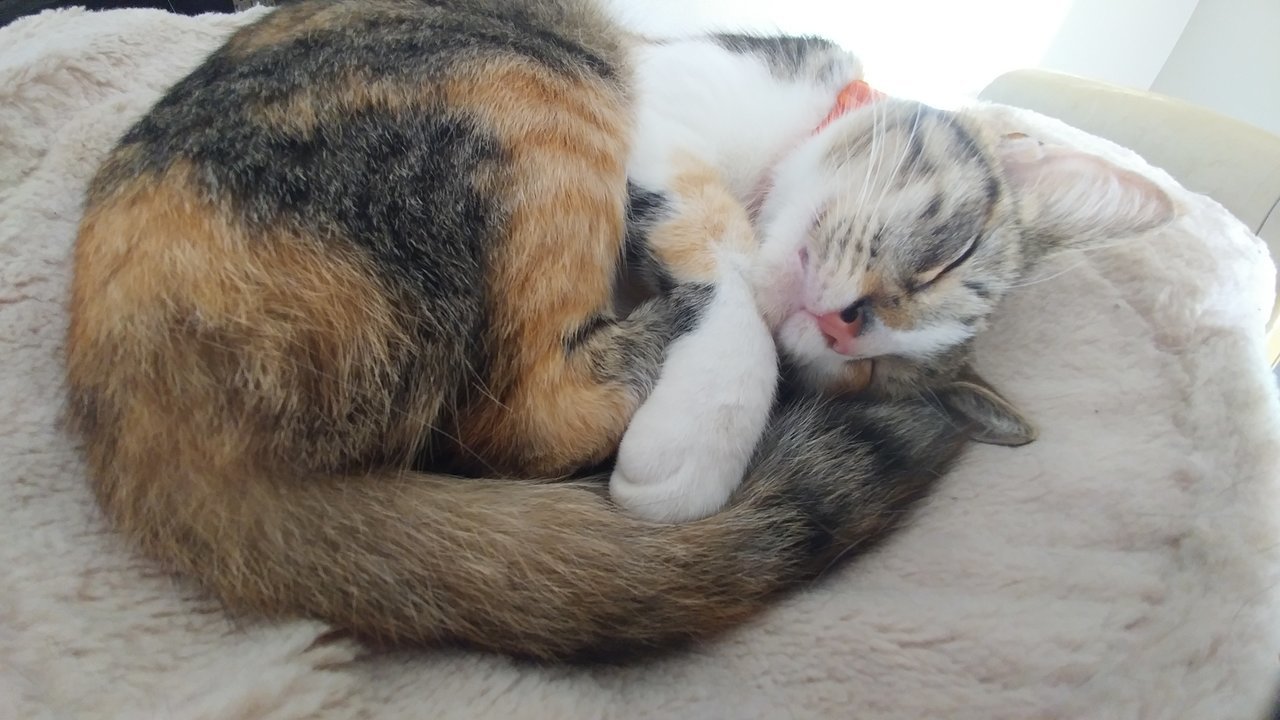 20171009_154324.jpg