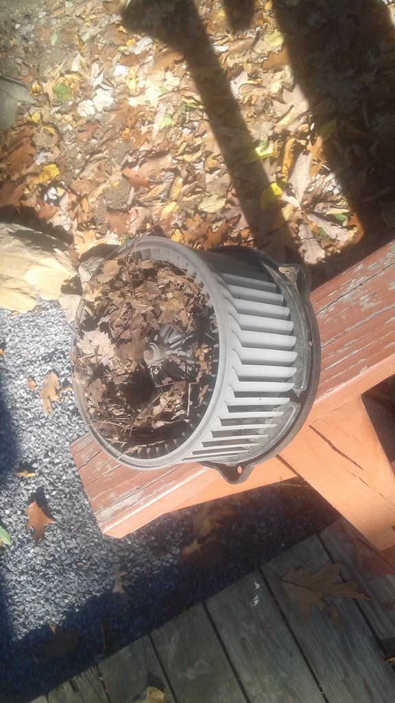 20171014_155002.jpg