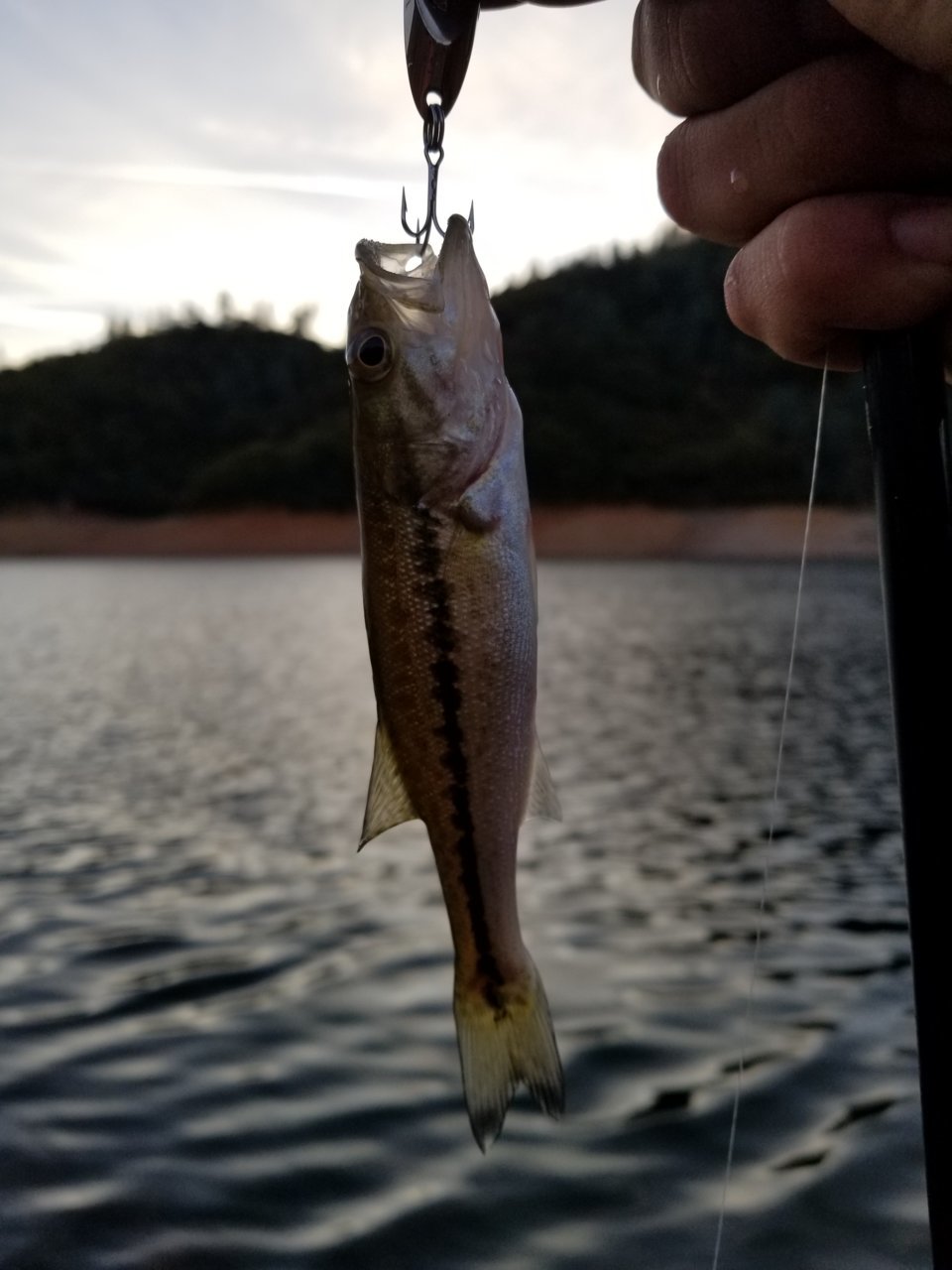 20171015_073316.jpg