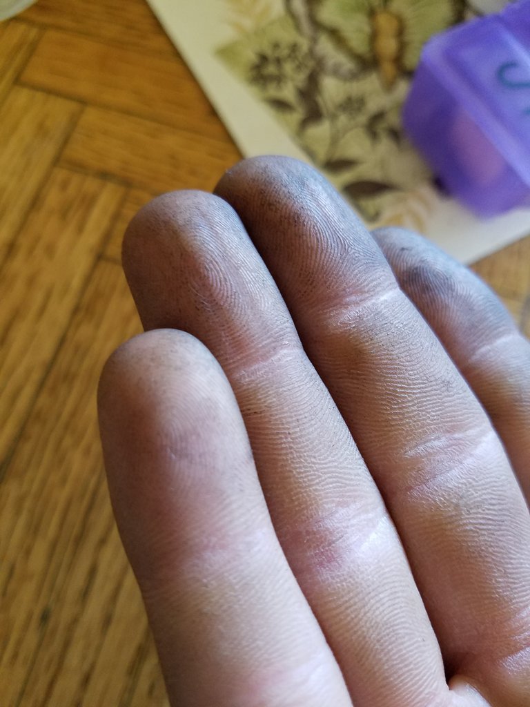 20171015_115024.jpg