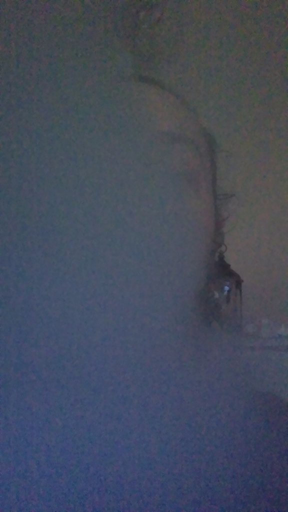 20171015_164616.jpg