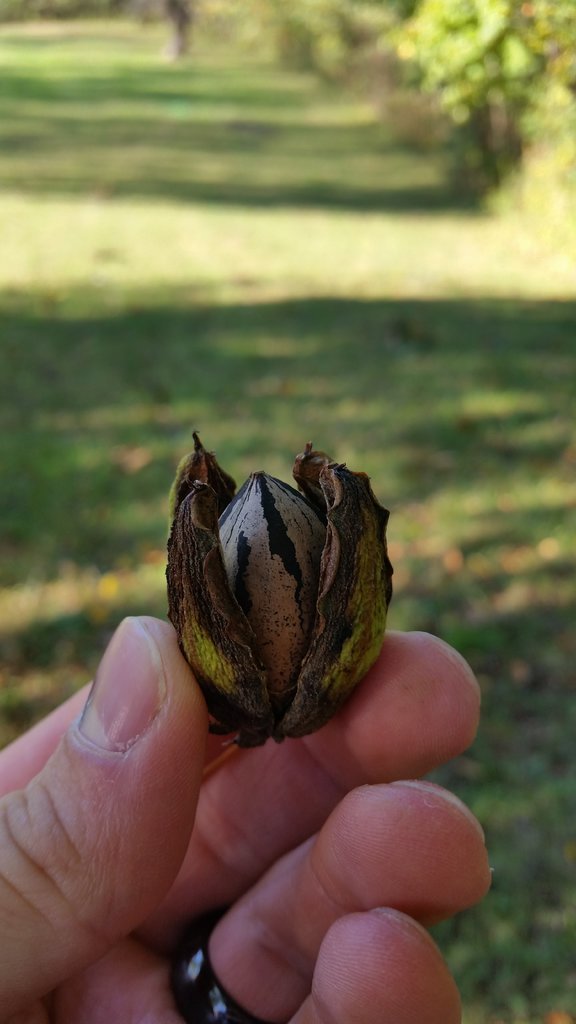 20171016_170234[1].jpg