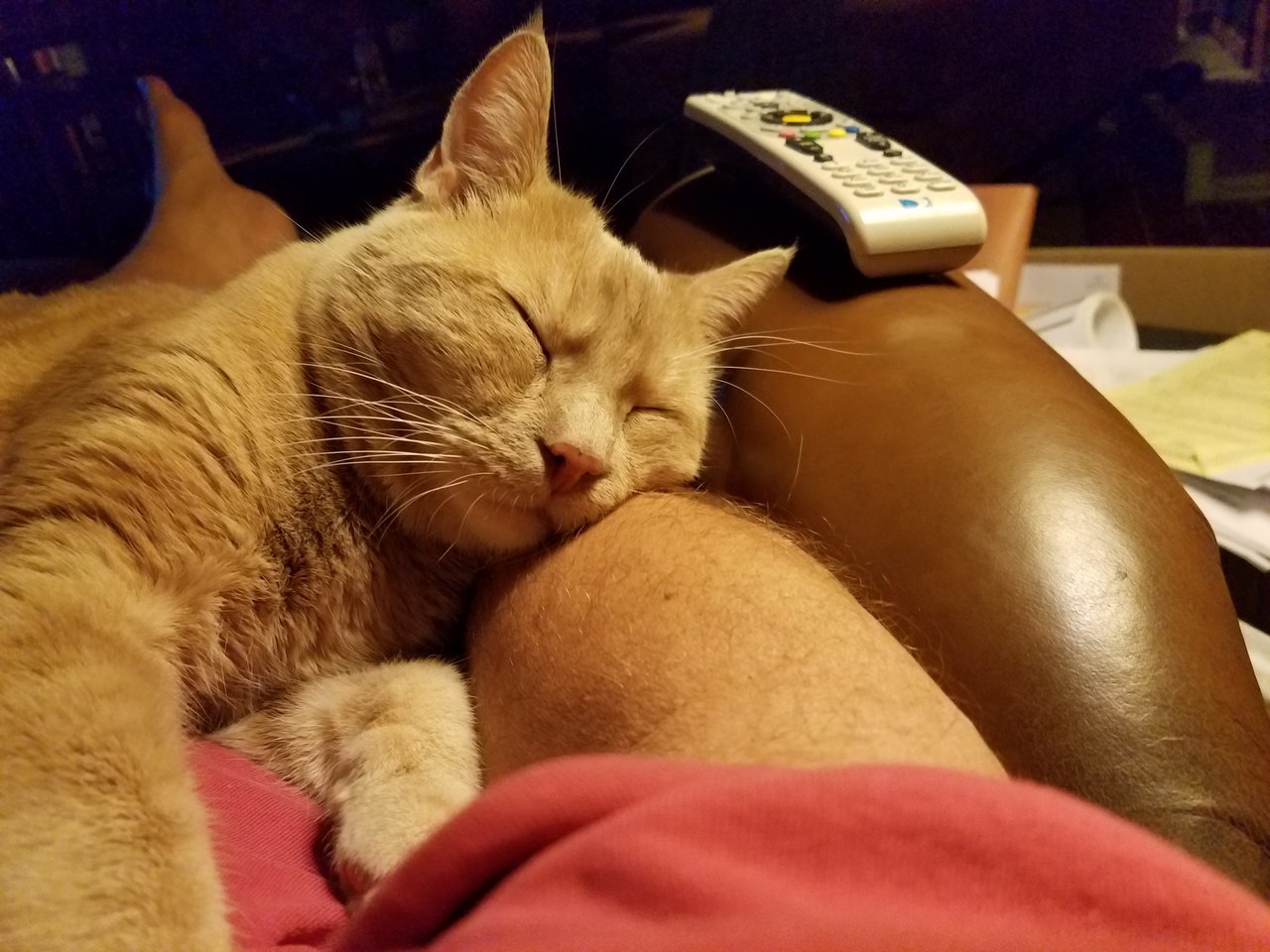 20171016_213949.jpg
