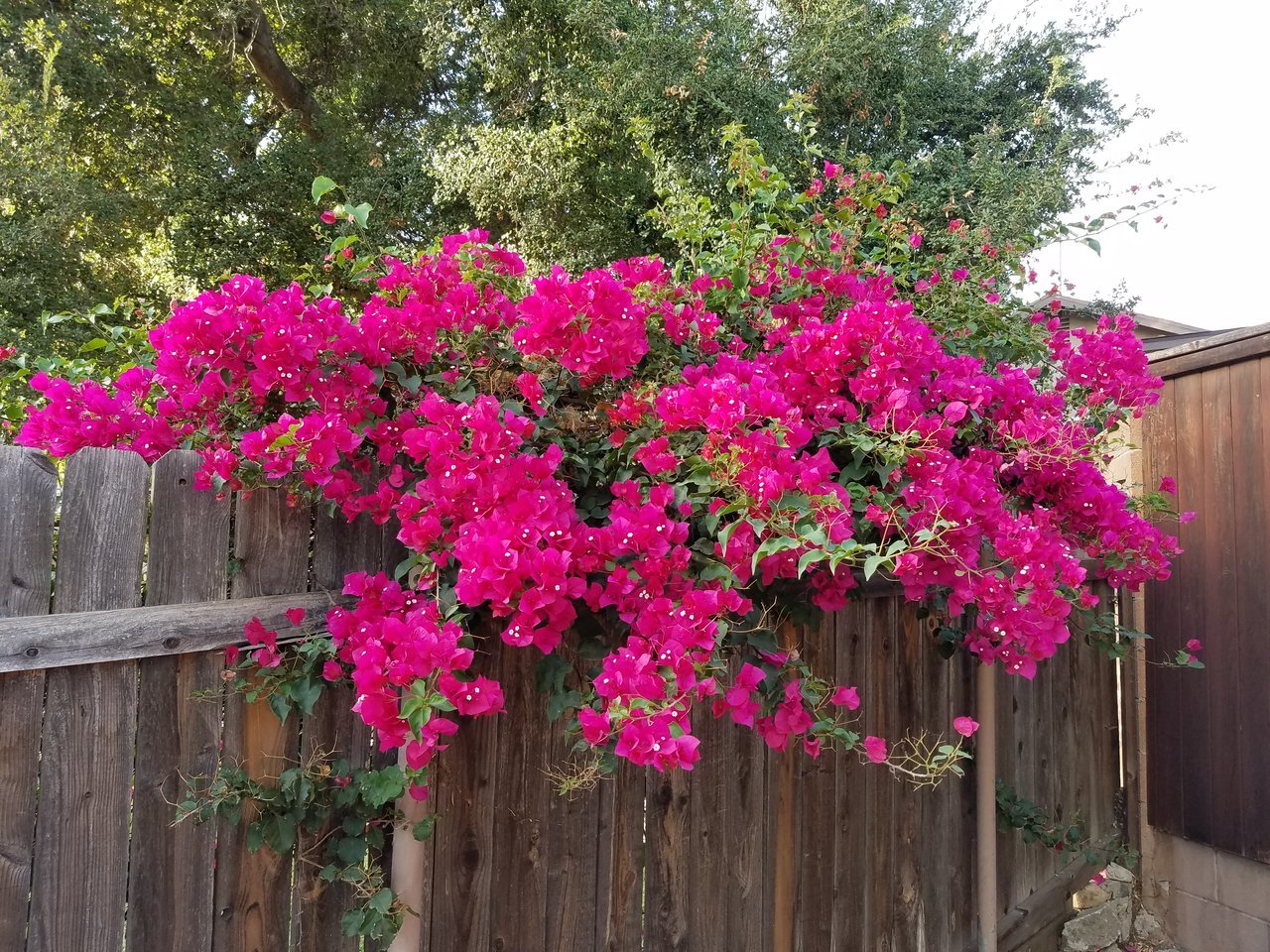 20171017_164500.jpg