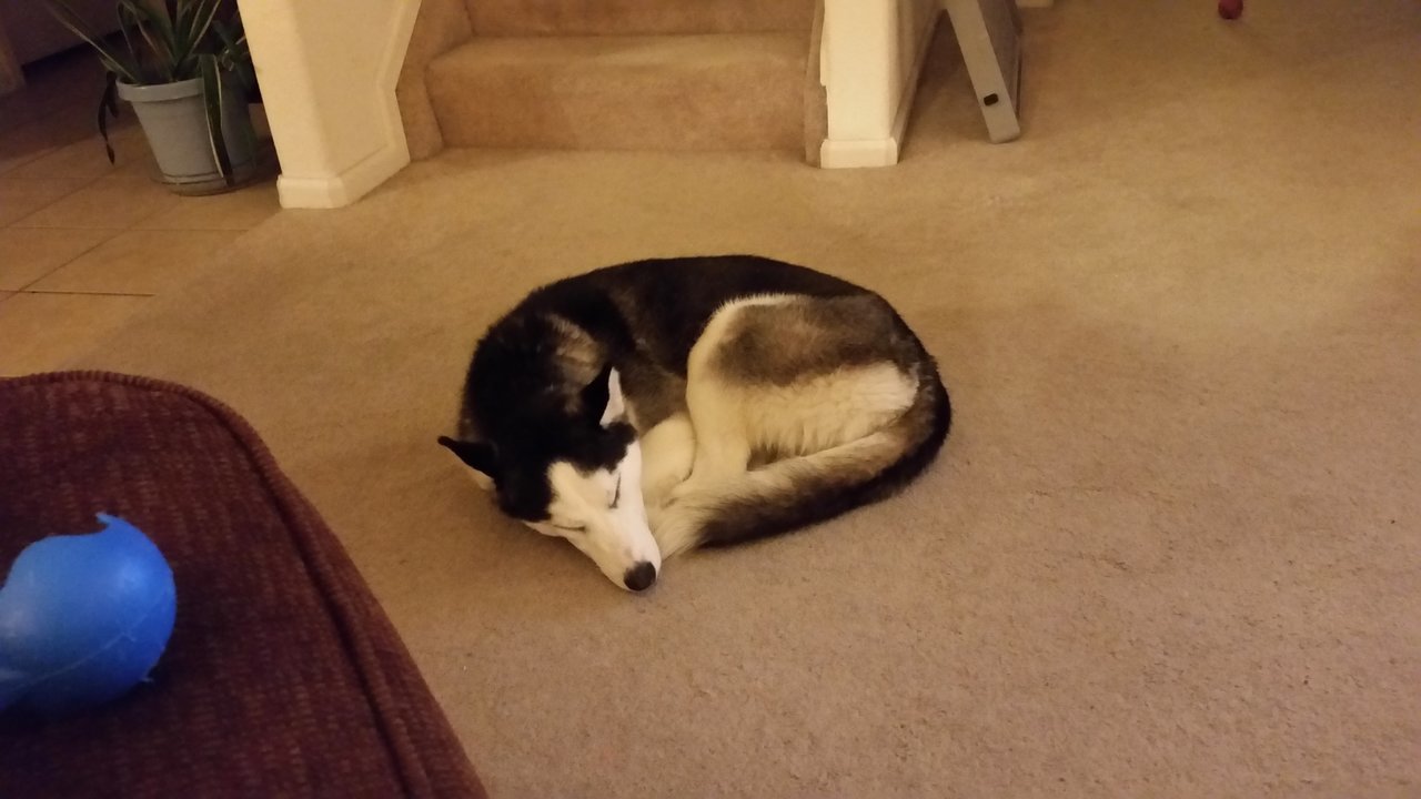 20171017_232512.jpg