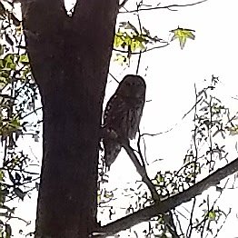 20171018_110519.jpg