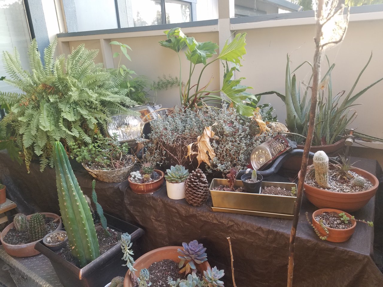 20171018_173412.jpg