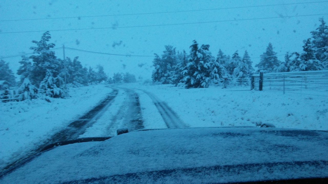 20171020_081658.jpg