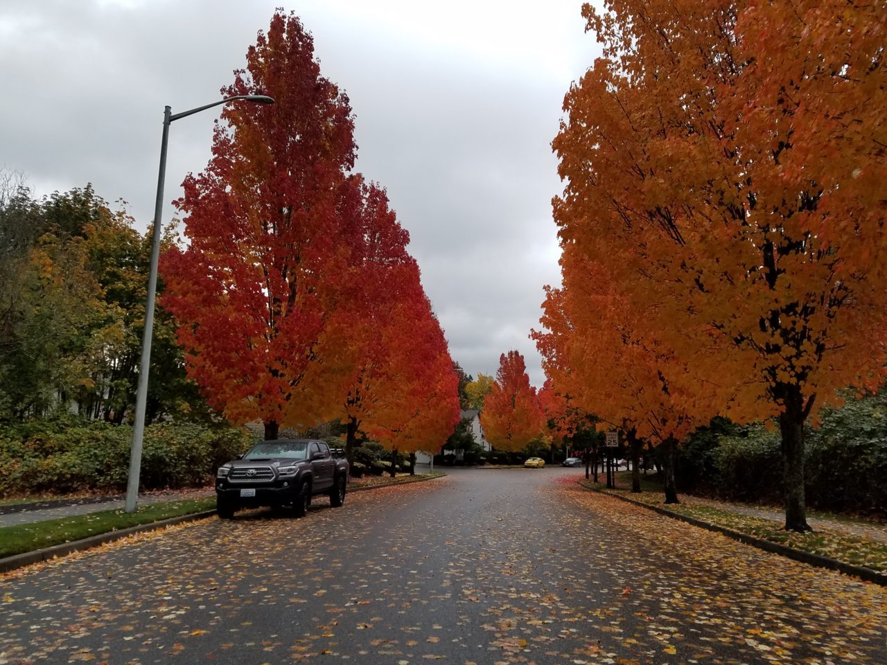 20171020_083127.jpg