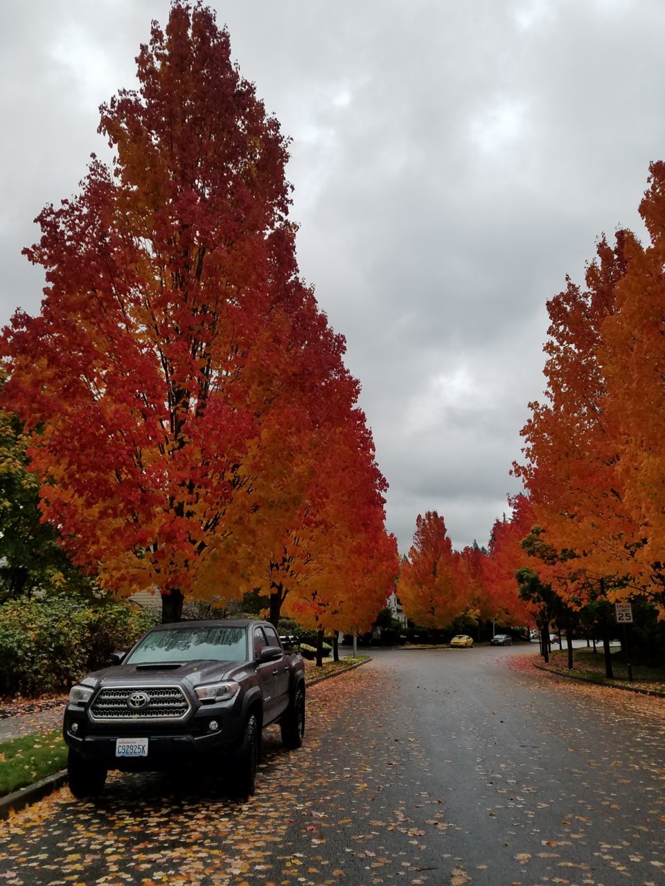 20171020_083143.jpg