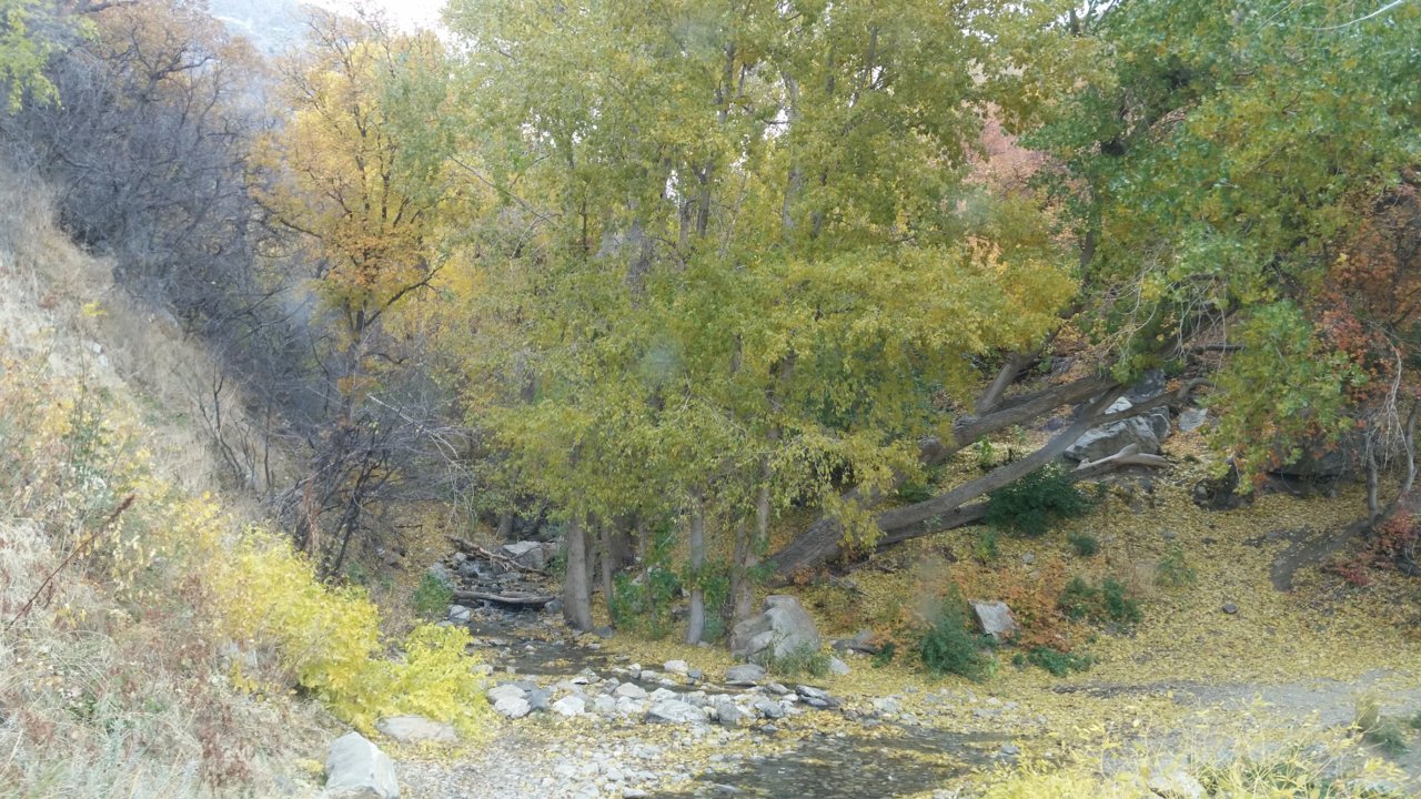 20171020_104337.jpg