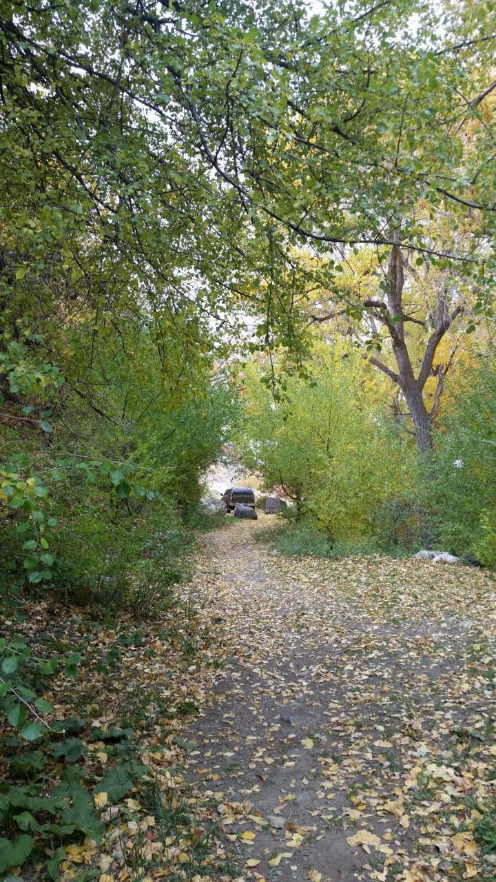 20171020_104852.jpg