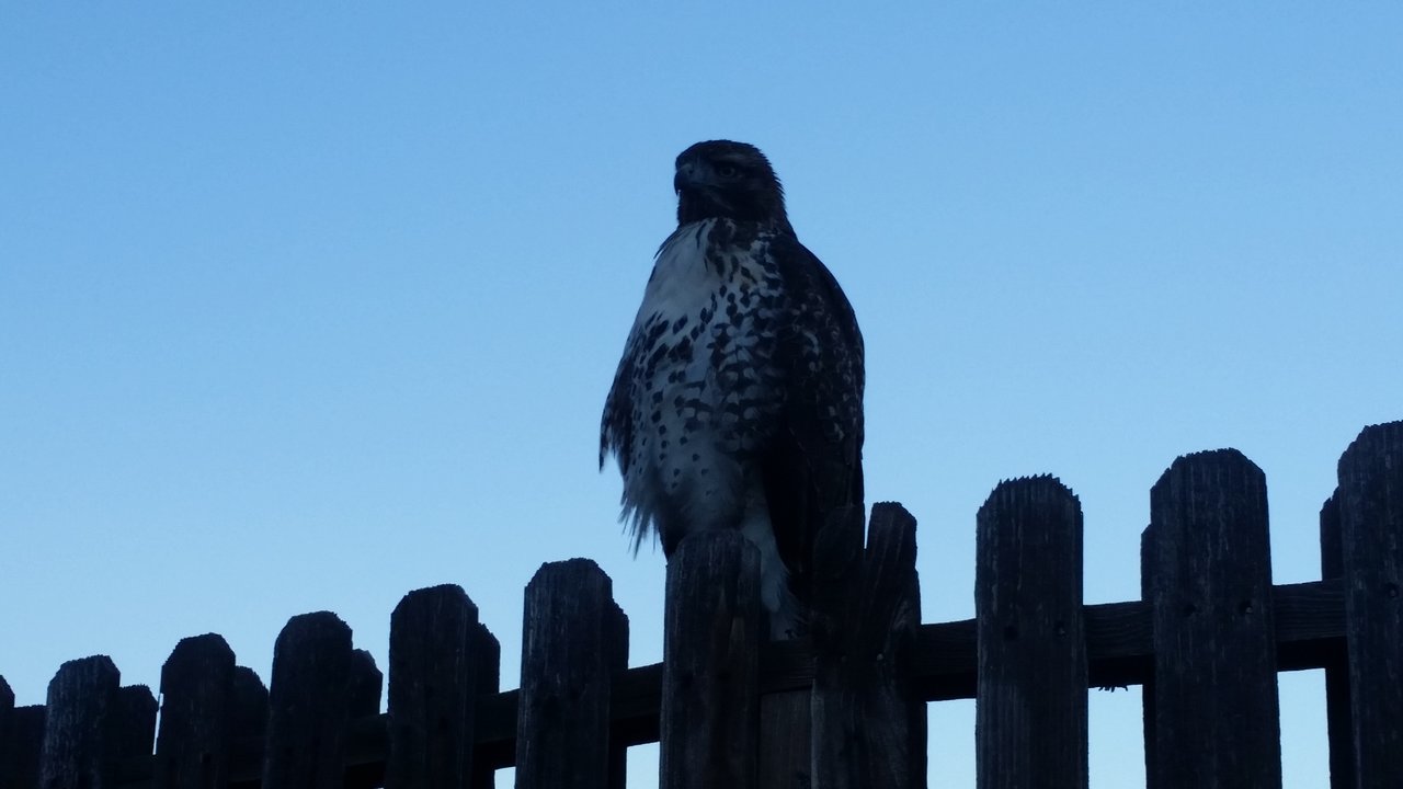 20171020_175713.jpg