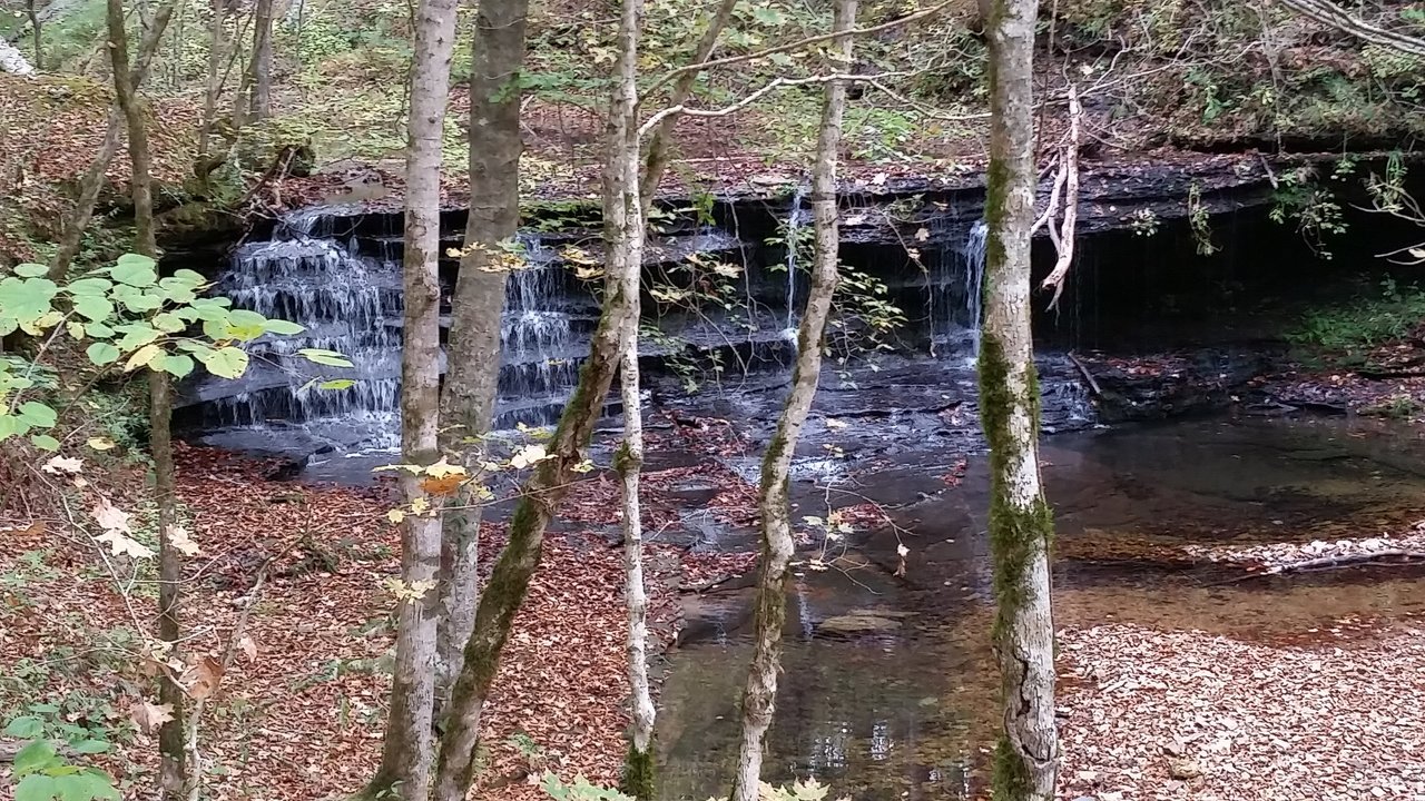 20171021_090310.jpg