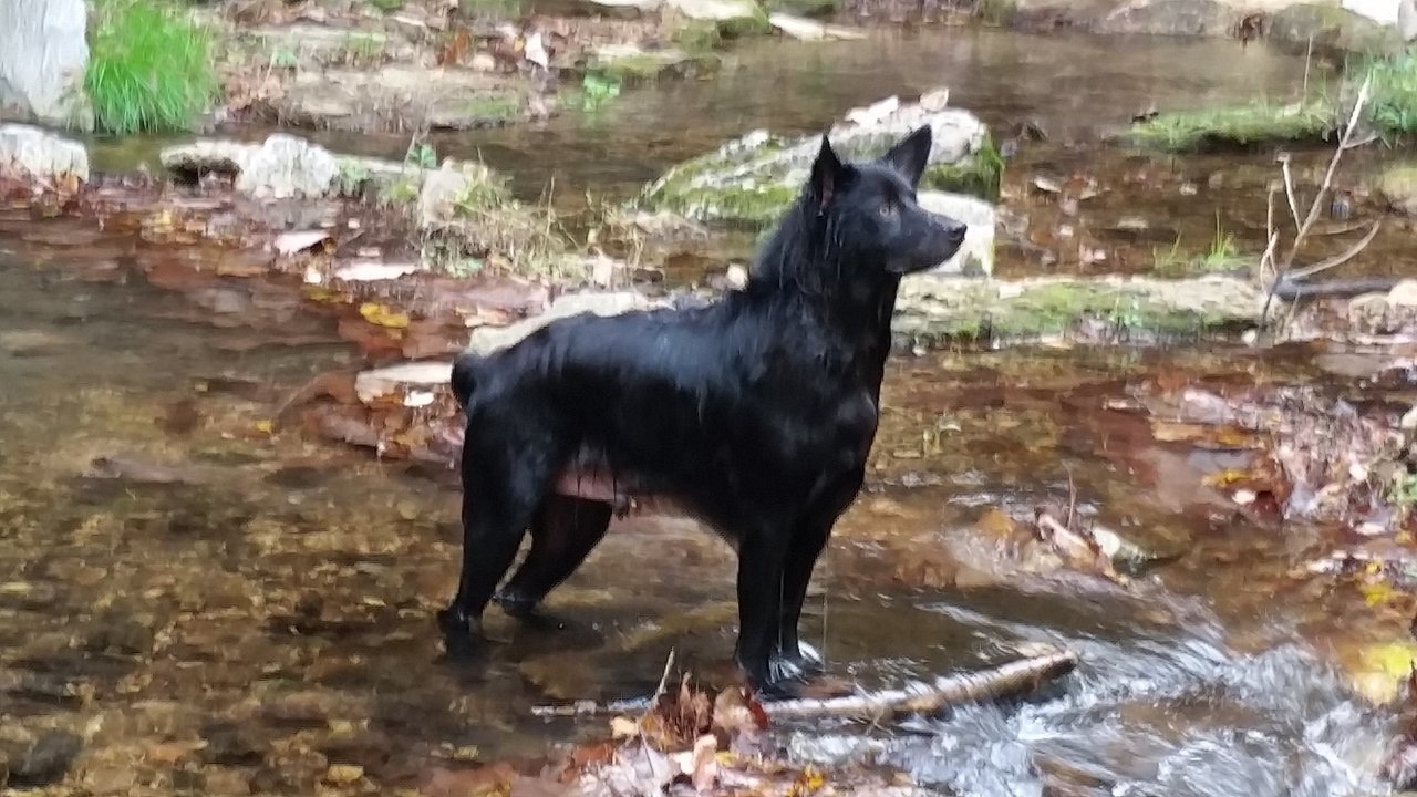 20171021_115937.jpg