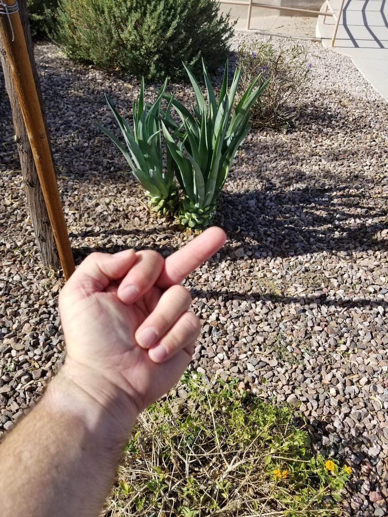 20171021_135730.jpg