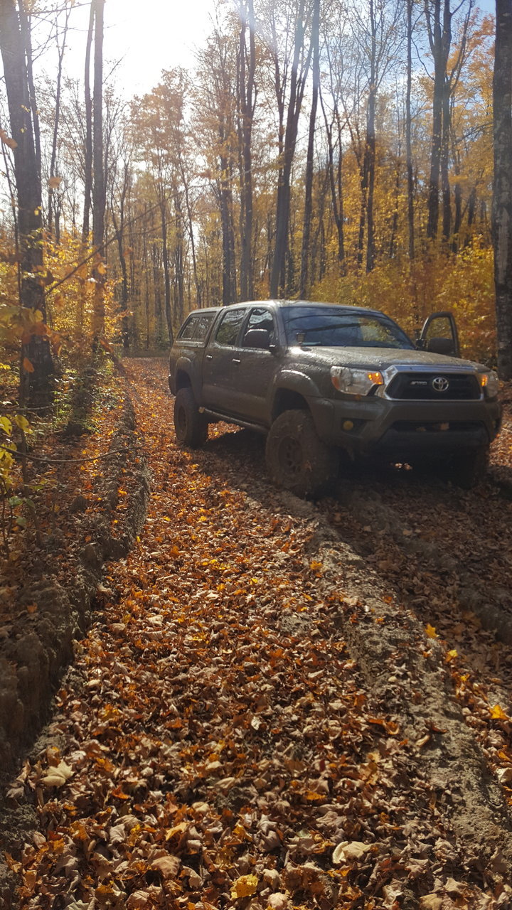 20171021_141058.jpg