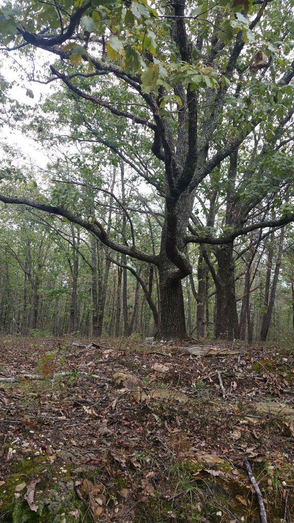 20171022_124627.jpg