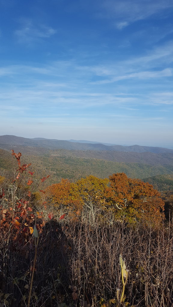 20171022_162905.jpg