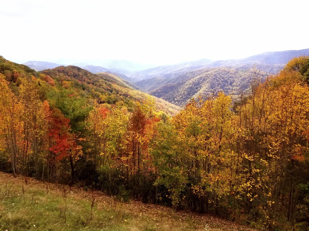 20171022_174251.jpg