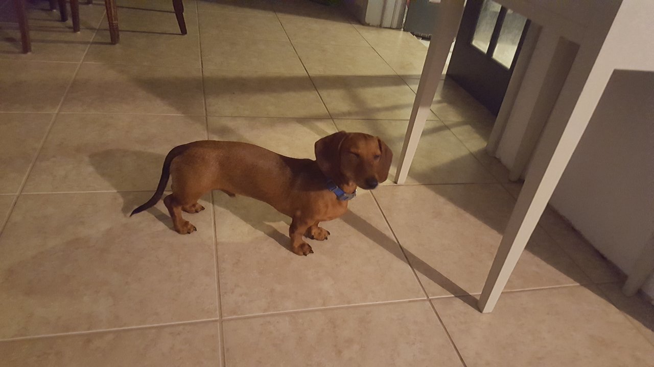 20171022_203741.jpg