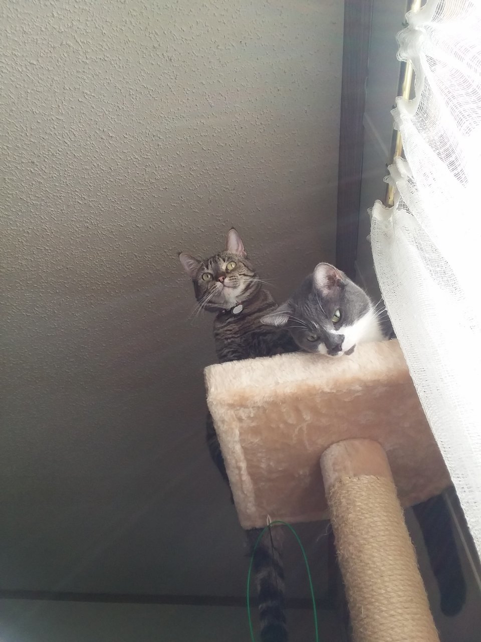 20171025_142254.jpg