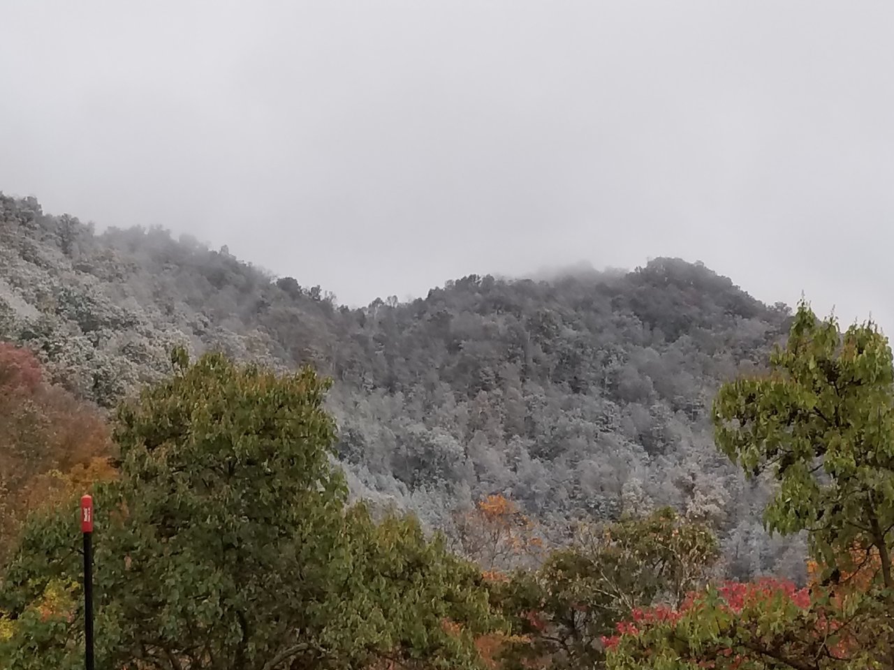 20171029_083650.jpg