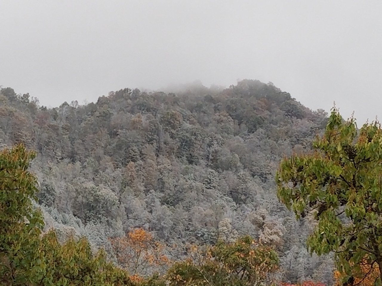 20171029_083706.jpg