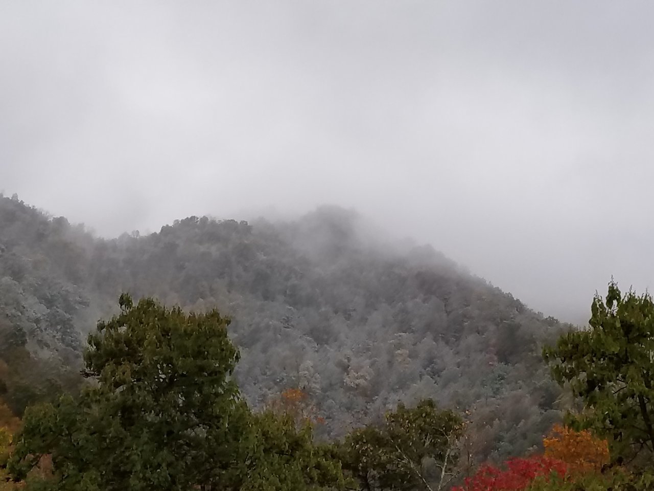 20171029_092242.jpg