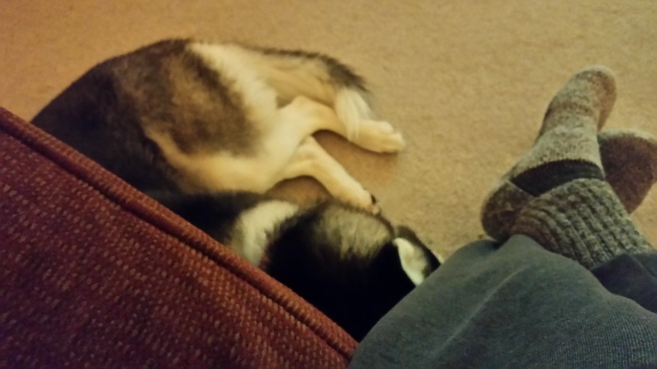 20171030_201951.jpg