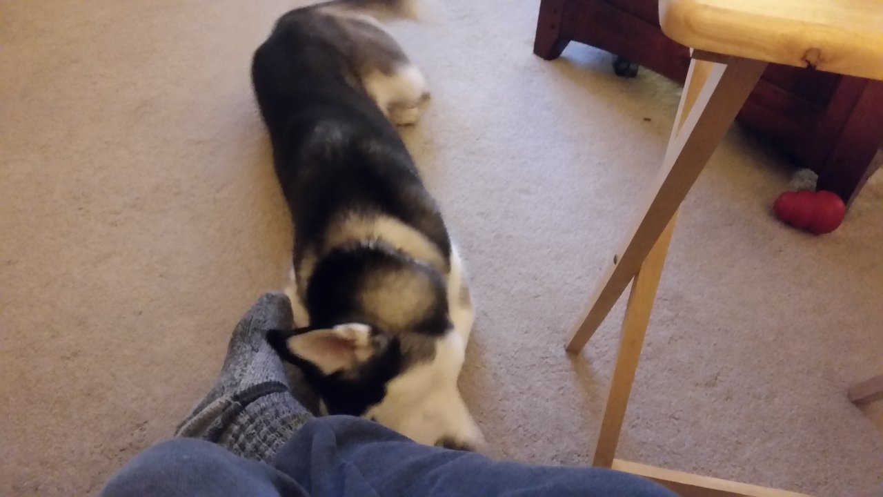 20171030_204919.jpg