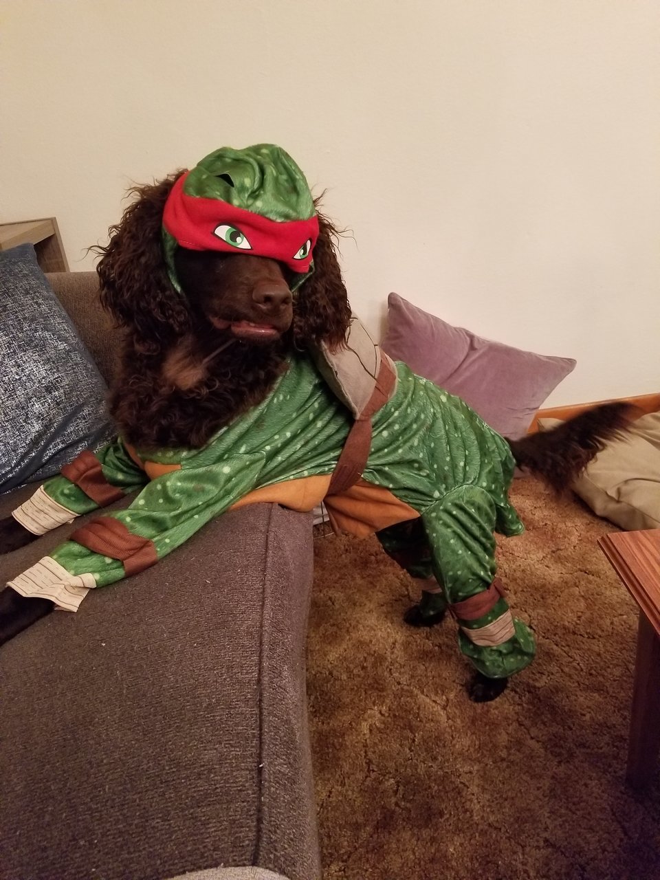 20171031_174105.jpg