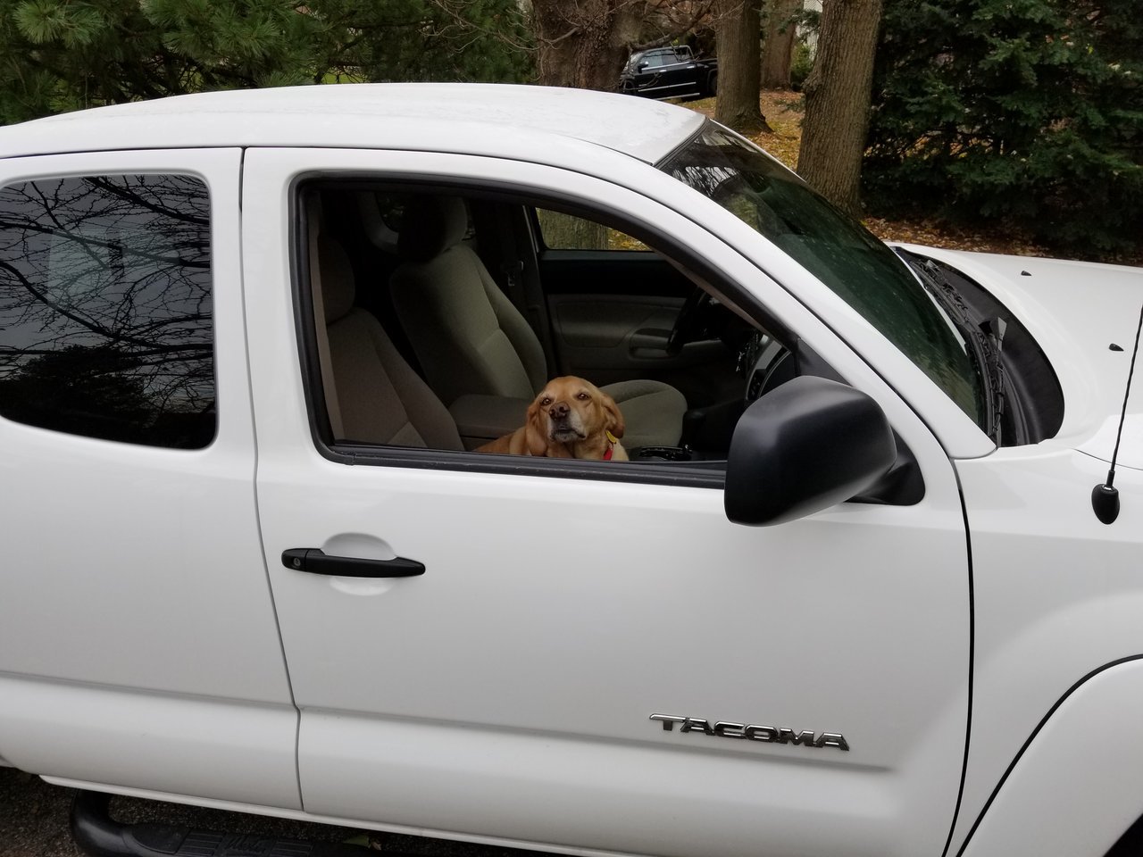 20171103_102133.jpg