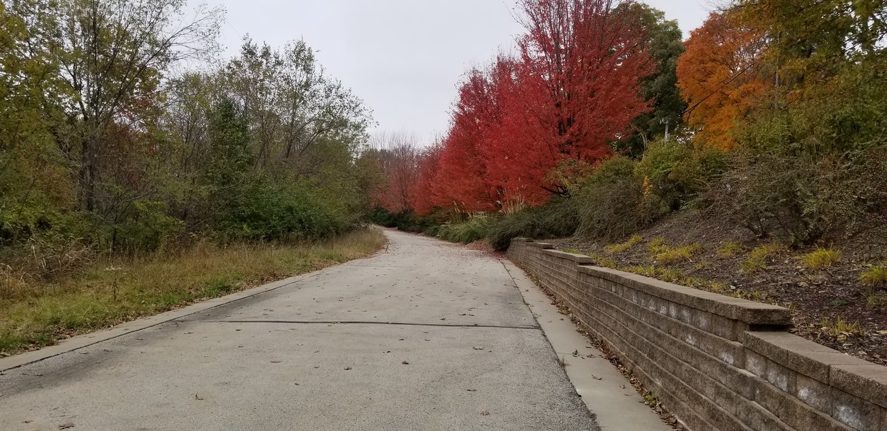 20171104_115425.jpg