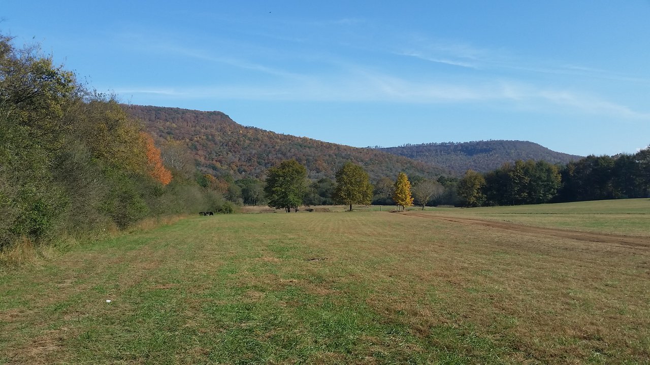 20171104_143916.jpg