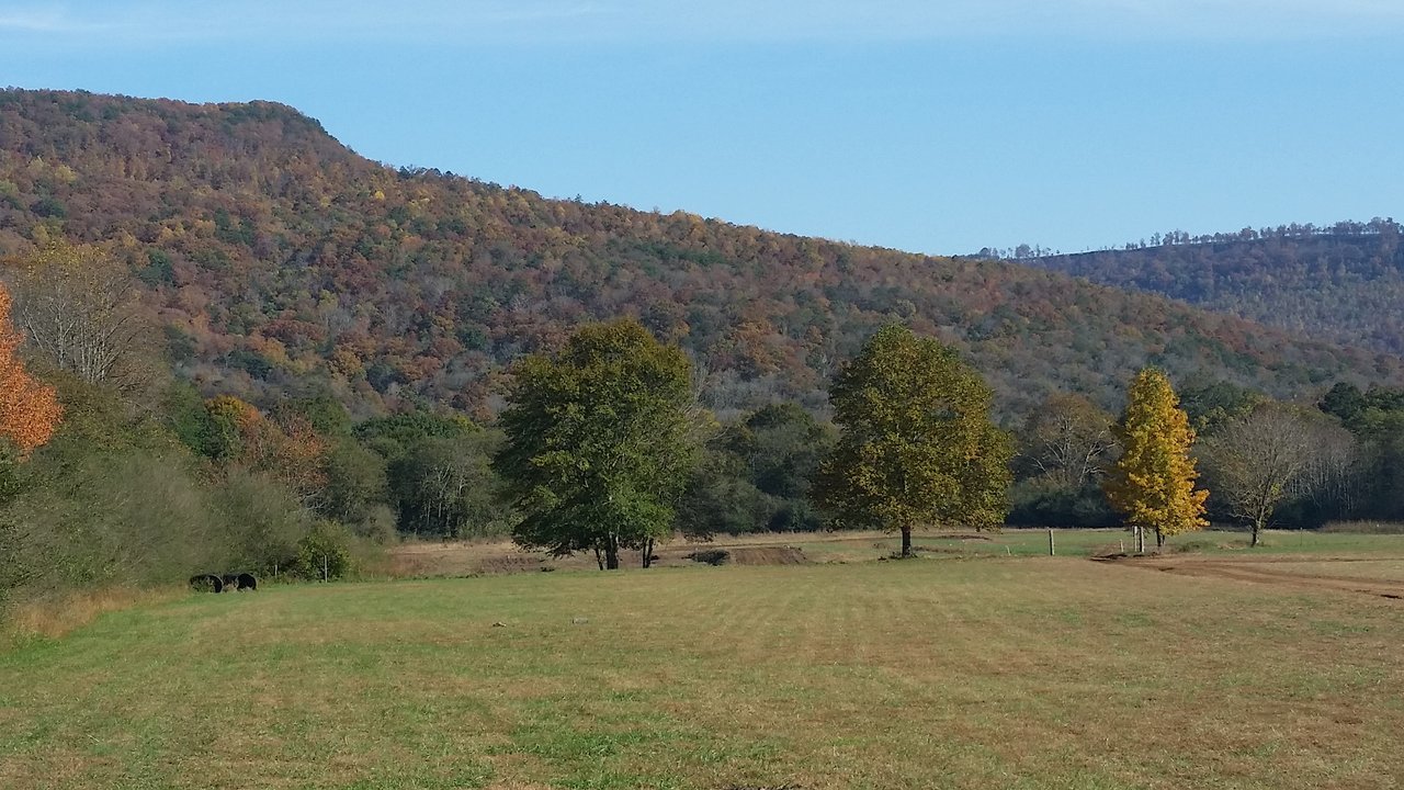 20171104_143922.jpg
