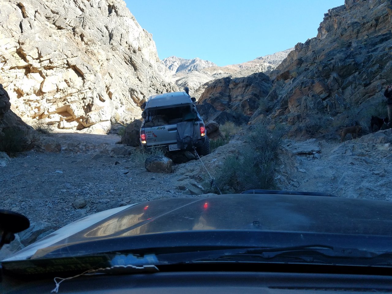 20171105_114155.jpg