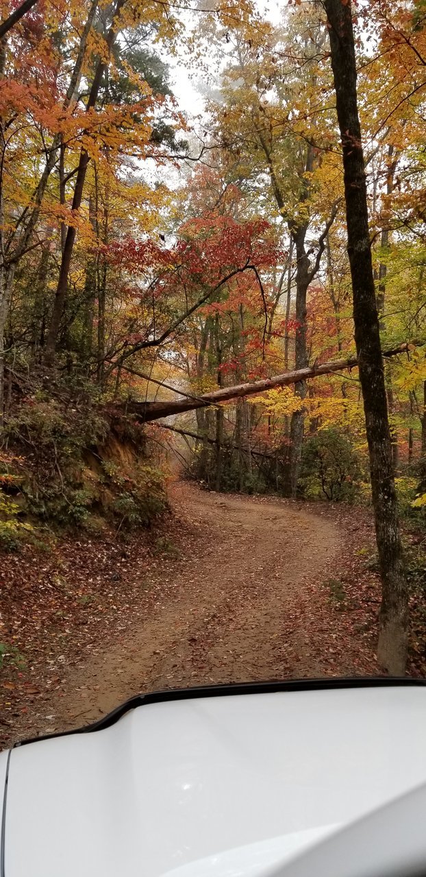 20171105_134018.jpg