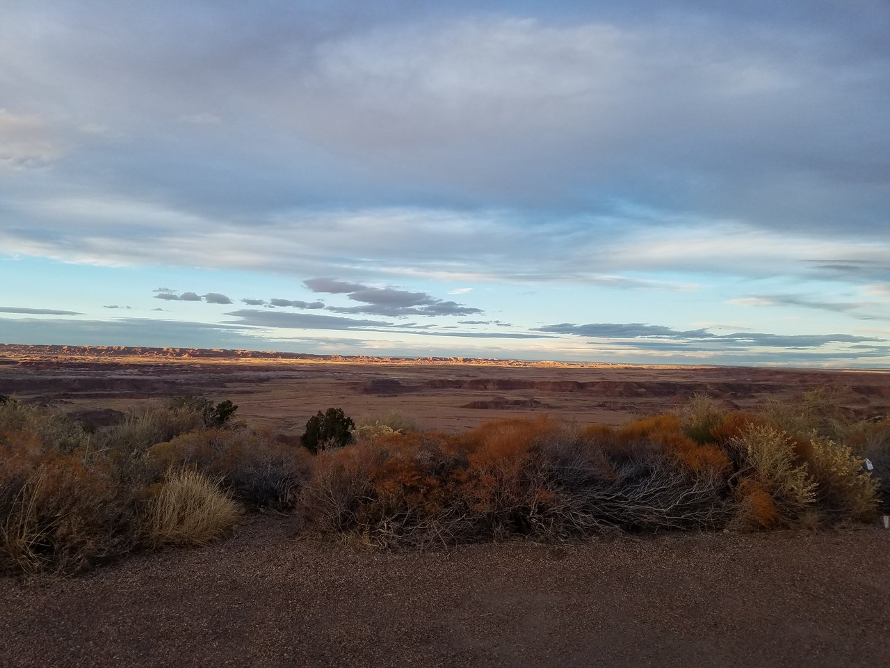 20171106_170145.jpg