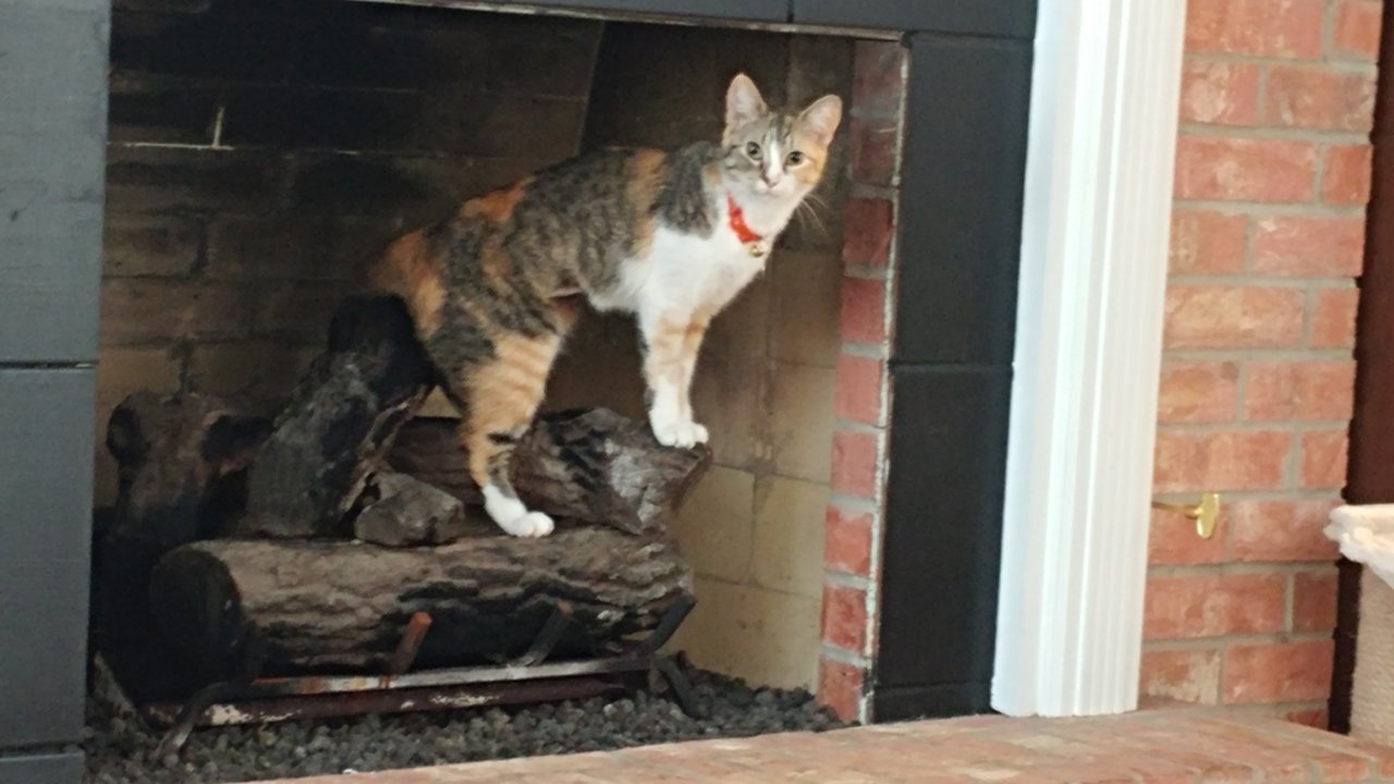 20171107_084027.jpg