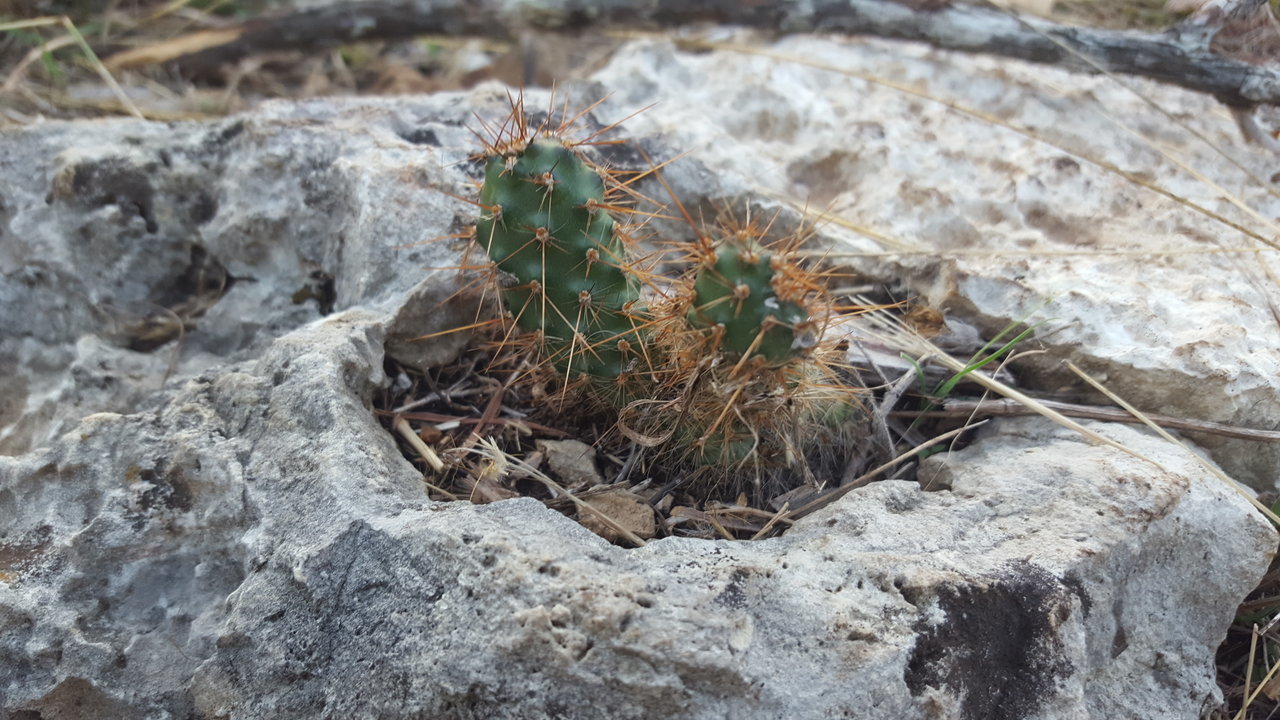 20171107_170440.jpg